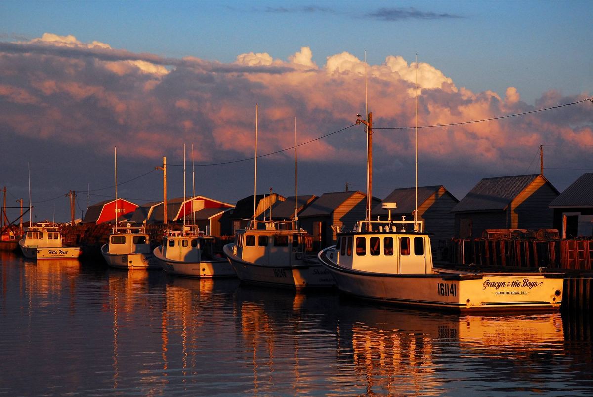 A Prince Edward Island fishing harbour with boats moored at the wharf